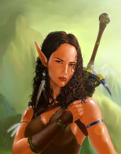 Datei:Finalwildelf detail.jpg