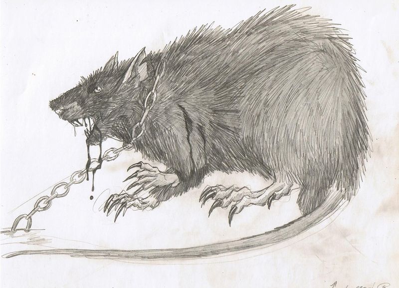Datei:Hell rat by JackFerrimanFreak.jpg